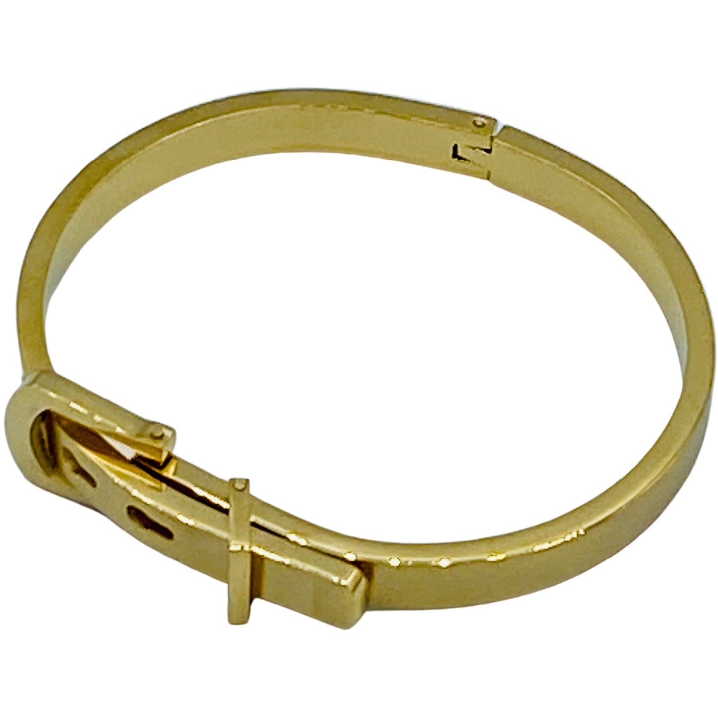 BUCKLE UP BRACELET - Butterfly Alley Jewelry