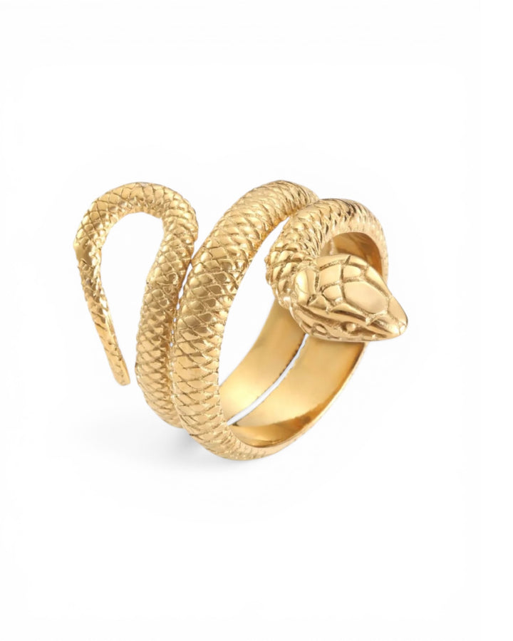 HISS AND TELL RING